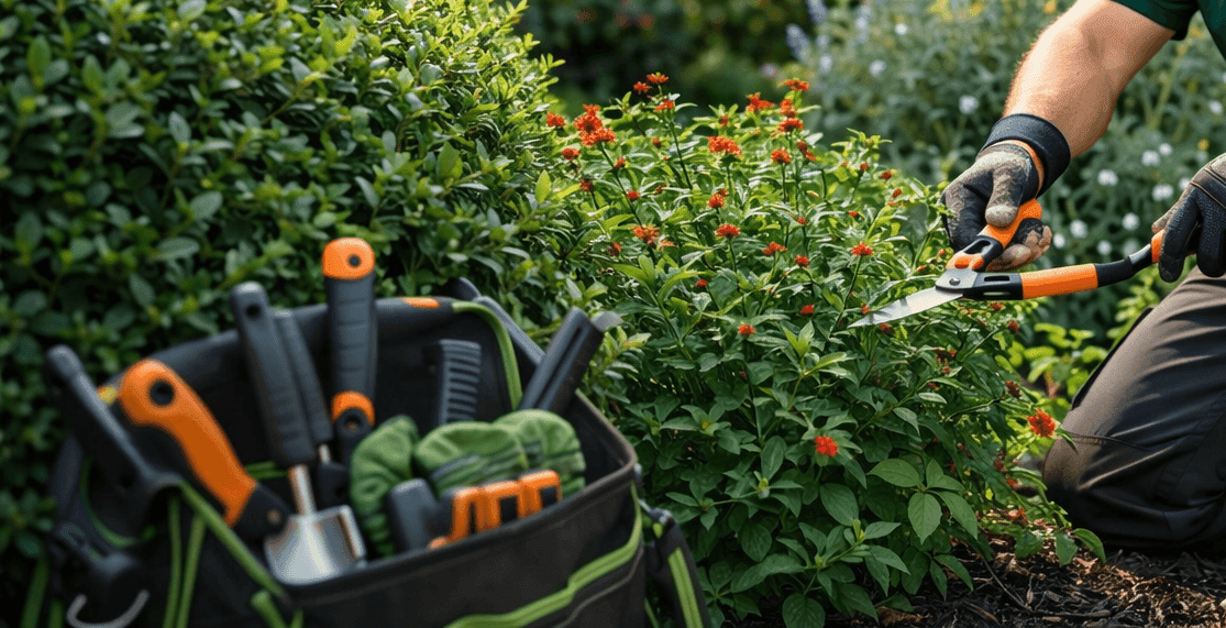Well-maintained strata complex grounds in Sydney